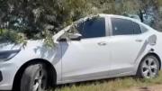 Posible femicidio y suicidio: identificaron a la pareja encontrada muerta dentro de un auto