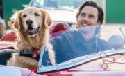 Dura 2 horas, los fanáticos de Marley y yo la amarán y es la película más vista de Netflix