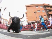Caos en los 500 años del encierro de toros: un periodista de El Chiringuito hospitalizado