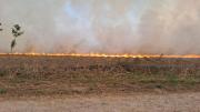 Incendio de pastizales y cañaverales en Río Colorado: una denuncia telefónica evitó que el fuego alcanzara viviendas del barrio 20 de Junio