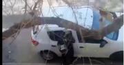 A plena luz del día, así robaban cosas de un auto en pleno centro