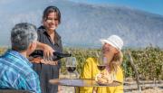 Salta 4.0: Turismo enológico y experiencias únicas de la mano de inteligencia artificial
