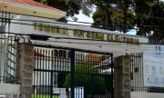 Senado aprueba Ley Transitoria de Selección, Elección y Designación de Vocales del TSE y lo remite a Diputados