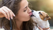Cuáles son los riesgos que se corren al besar a los perros
