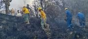 Bomberos sofocan 69 incendios forestales