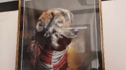 Falleció Petardo, el perro símbolo de las luchas cívicas de Potosí