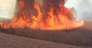 Se incendió una finca sanjuanina en la que cuidaban caballos rescatados y creen que fue intencional