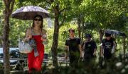 Tokio encadena diez días récord de calor extremo