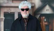 Pedro Almodóvar pide a España romper relaciones con Israel