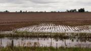 Campos inundados: “Hoy tenemos centenas de miles de hectáreas improductivas debajo del agua”