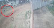 Revelan video del ingreso y salida de delincuentes que robaron Bs 150.000 y $us 10.000 en una casa