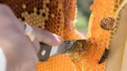 Por qué deberías mezclar cera de abeja y aceite de linaza y para qué sirve