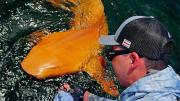 Sorprendente hallazgo en el Caribe: descubren un tiburón nodriza de color naranja