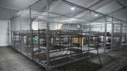 ¿El fin de la polémica? Este será el futuro de Alligator Alcatraz según un funcionario