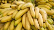 Los 4 alimentos con más potasio que la banana que alivian los dolores musculares