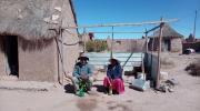 Pese a la crisis climática y con saberes ancestrales, familias de la Nación Uru Chipaya resguardan la papa luki