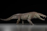 Descubren el Kostensuchus atrox, un cocodrilo feroz de 70 millones de años en la Patagonia
