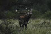Tres escapadas para descubrir la Pampa profunda, una propuesta cerca