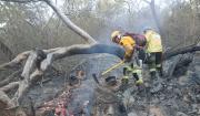 Incendios afectaron más de 74 mil hectáreas en dos áreas protegidas de Santa Cruz