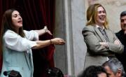Revelan un chat entre Lilia Lemoine y Martín Menem en pleno cruce con Pagano: Es culpa de Santi Caputo