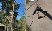 La Plata: Se mató con la motosierra, el trágico accidente de un jubilado que podaba un árbol