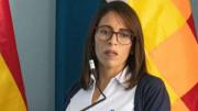 Gobierno apela resoluciones judiciales que favorecen a Camacho, Pumari y Añez y niega la existencia de presos políticos