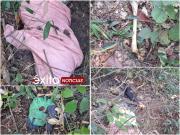 Hallan tres cuerpos dentro de bolsas de yute en Entre Ríos