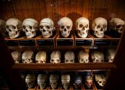 El debate ético de un museo en Estados Unidos