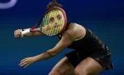 La maravillosa foto del US Open que ya postulan como “imagen del año”