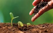 Chuquisaca apuesta por la agroecología: 480 familias sostienen la seguridad alimentaria desde los huertos urbanos