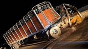 Trágico choque en el puente Rosario-Victoria de un camión con ganado: una chica fue embestida por un toro