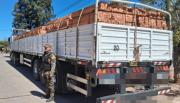 Golpe a la tala ilegal: secuestran en Anta un camión cargado con madera nativa