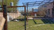 Encontraron a una mujer enterrada en el patio de su casa: la escalofriante sospecha de la policía