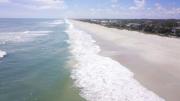 ¡Buscan al responsable! Encuentran huevos sin vida de una especie en peligro en playa de Florida