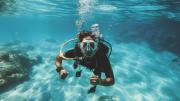 ¿Buceo en Caracas? En la propia capital se pueden hacer cursos de esta práctica marina: aquí los precios