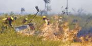 Incendios forestales afectan a más de 83.000 hectáreas; el 20% son bosques