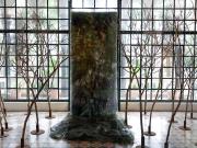 ‘Confluencias’: siete fotógrafos exhiben naturaleza en el castillo del Colegio Marín