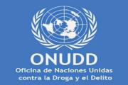 Informe Mundial sobre Drogas 2025 reconoce a Venezuela libre de cultivos de droga