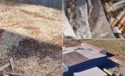 Montañas de ampollas de fentanilo: la Justicia pidió que intervenga urgente Medio Ambiente