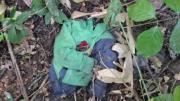 Cuerpos hallados en el Trópico corresponden a una familia buscada desde julio