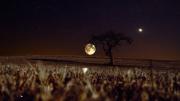 Cuándo ver la Luna de Sangre 2025 desde Argentina