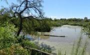 Escapada para conectar con la naturaleza a 40 minutos de CABA: la reserva que lo tiene todo