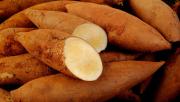 Este superalimento retrasa el envejecimiento, mejora la digestión y ayuda a adelgazar