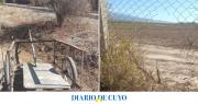 Un joven de 18 años fue detenido por robar 20 cepas de una finca de Zonda