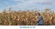Marcada incidencia negativa del cambio climático en la agricultura