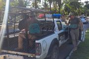 Aprehenden a dos implicados en el asesinato a una familia en el trópico de Cochabamba