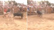 España: un periodista fue embestido por una vaca en vivo