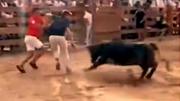Un periodista fue embestido en vivo por una vaca en una broma que casi se convirtió en tragedia