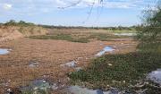 Exalcaldesa Sosa y vecinos denuncian abandono de la laguna Guapilo