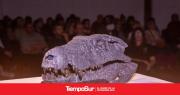 CONICET expuso sobre el cocodrilo gigante hallado en El Calafate